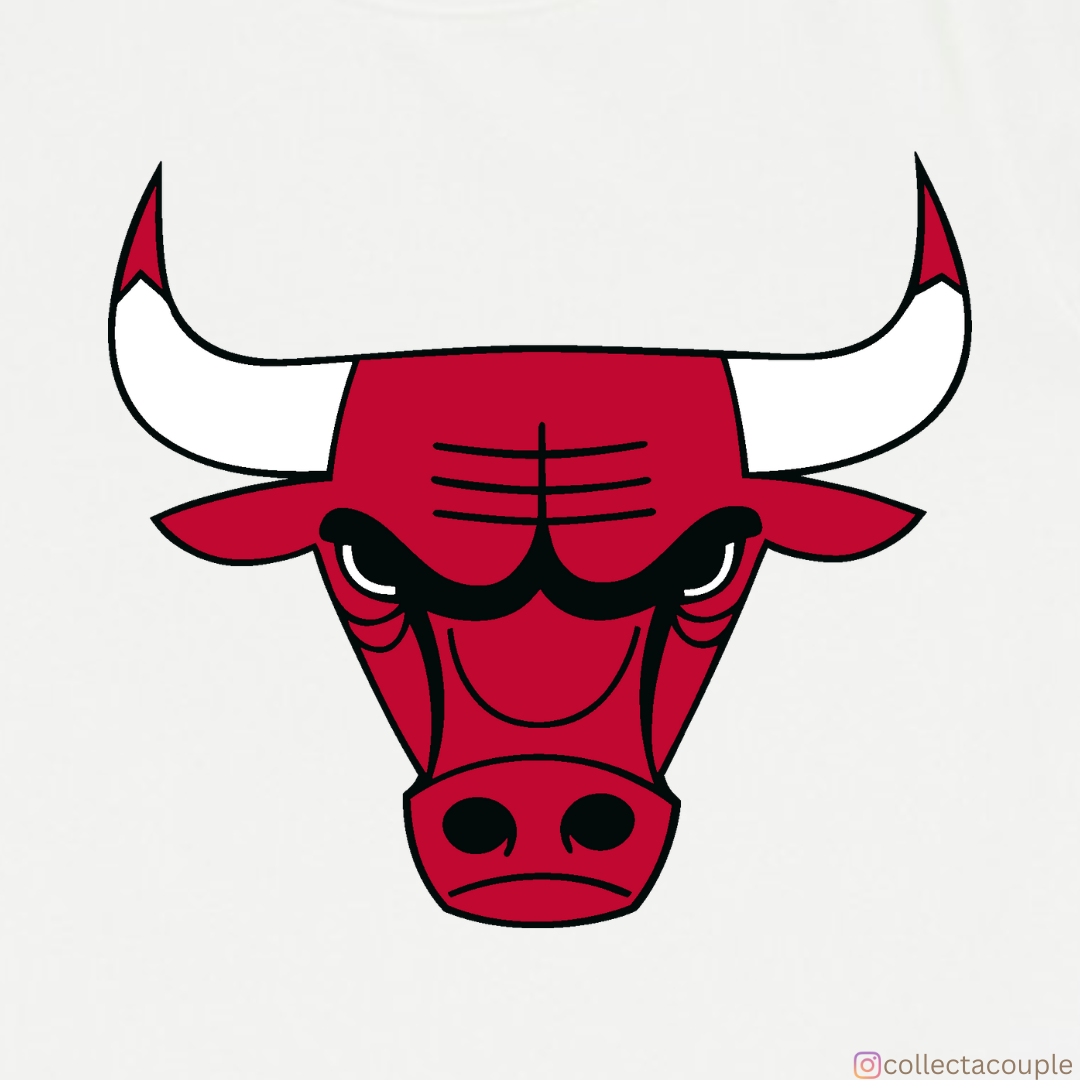Chicago Bulls: Logo Unisex T-shirt