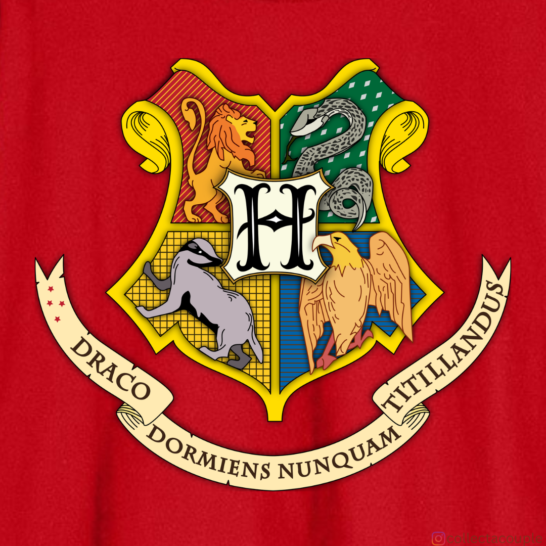 Harry Potter: Hogwarts is my home Oversized Unisex T-shirt (front and back print)