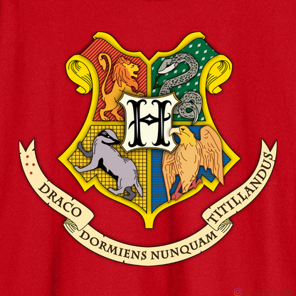 Harry Potter: Hogwarts is my home Oversized Unisex T-shirt (front and back print)