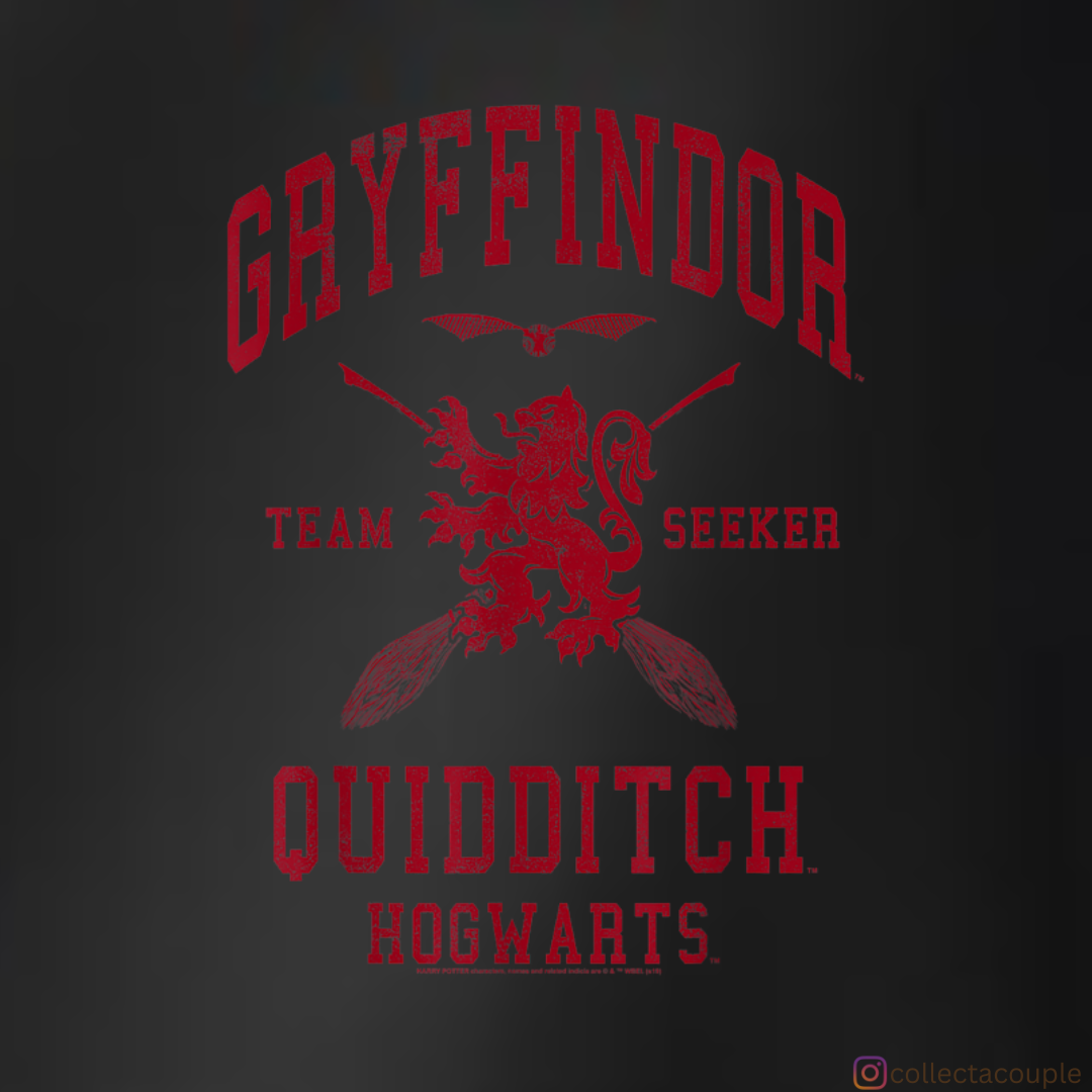 Harry Potter: Gryffindor Quidditch Team Unisex Hoodie