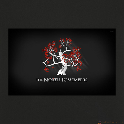 Game of Thrones: The North Remembers Unisex T-shirt