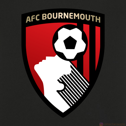 AFC Bournemouth: Logo Unisex T-shirt