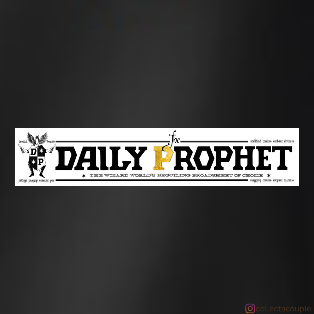 Harry Potter: Daily Prophet- Boy who Lived (2) Unisex Hoodie (front & back print)