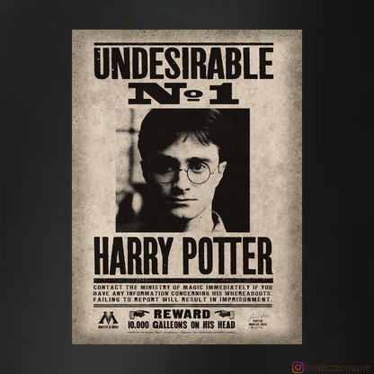 Harry Potter: Undesirable No. 1 Unisex Hoodie (front & back print)