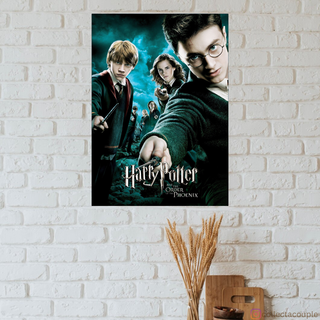 Harry Potter: Order of The Phoenix Poster